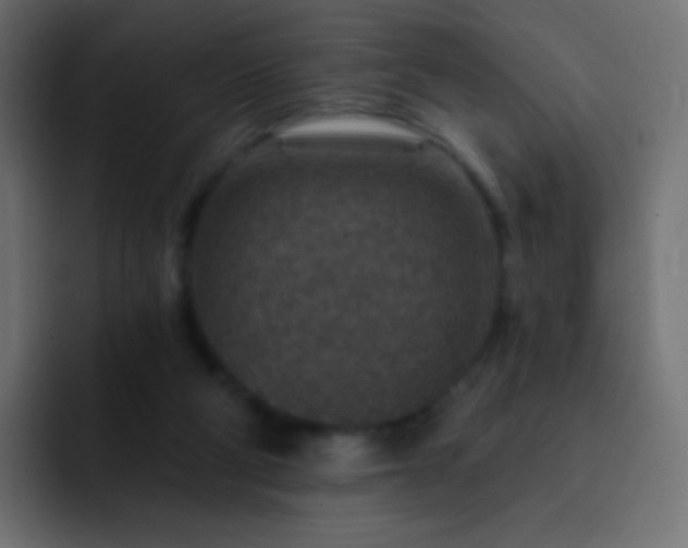 X0000093170114200710031511