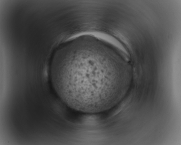 X0000093170115200710031511