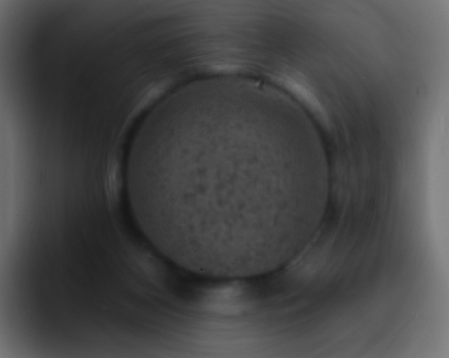 X0000093170116200710031511