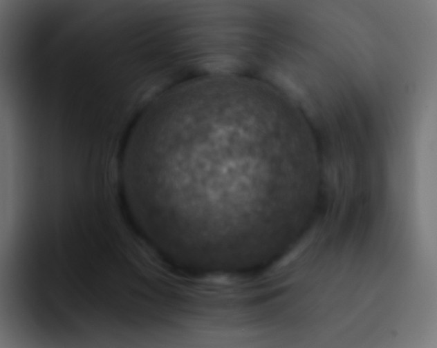 X0000093170117200710031511