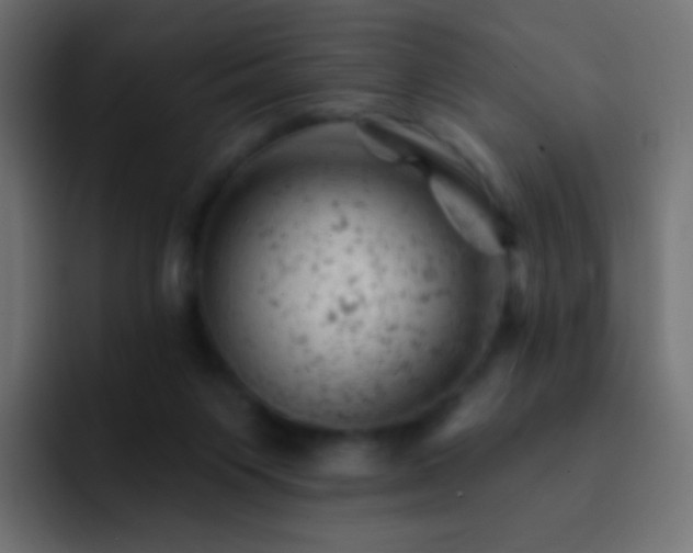 X0000093170119200710031511