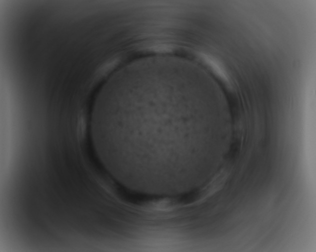 X0000093170120200710031511