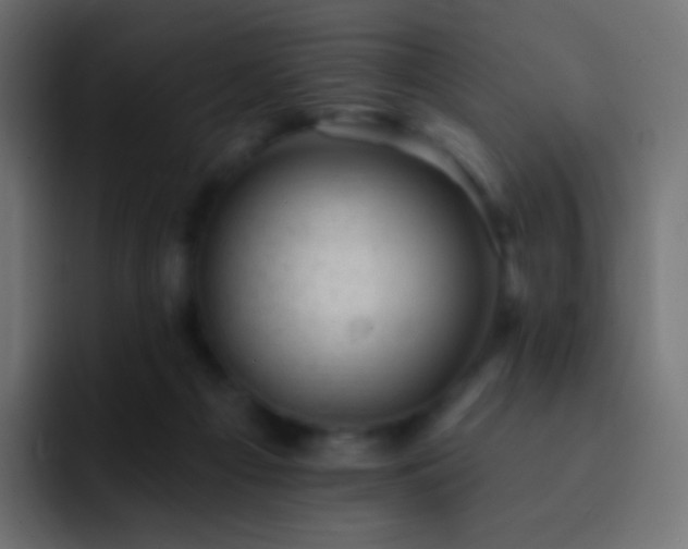 X0000093170121200710031511