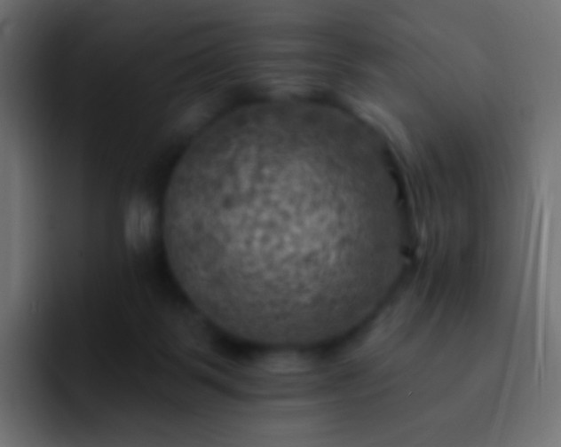X0000093170123200710031511