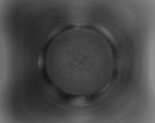 X0000093170124200710031511