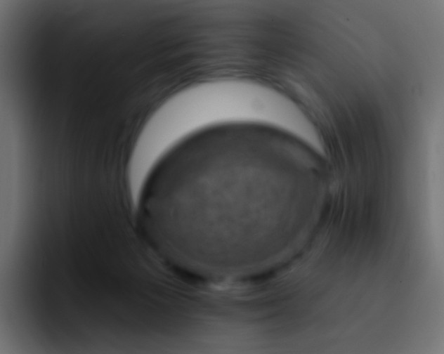 X0000093170125200710031511