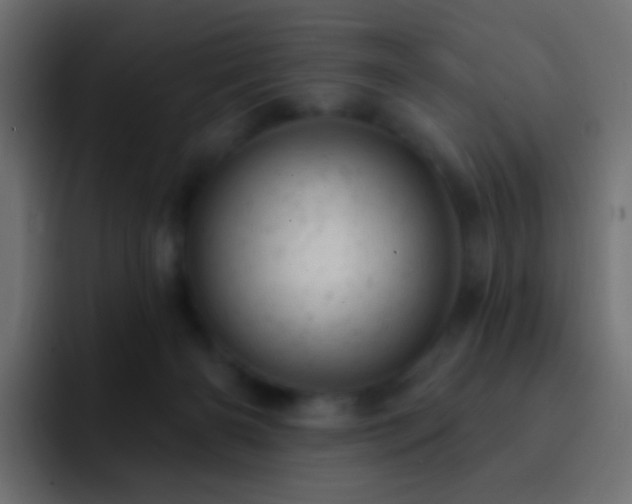 X0000093170126200710031510