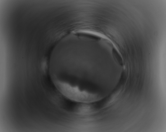 X0000093170127200710031510