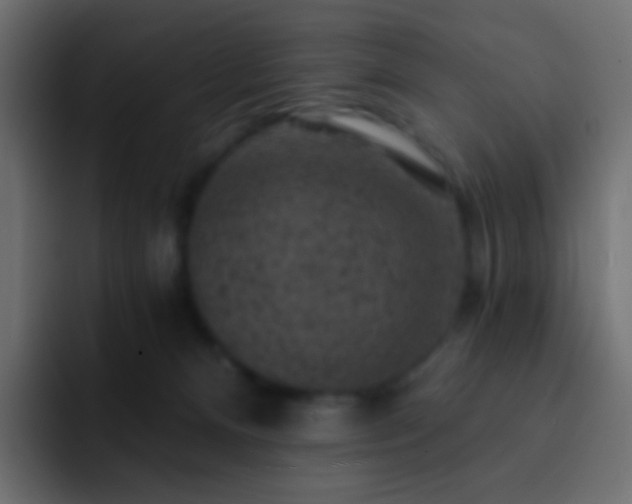 X0000093170128200710031510