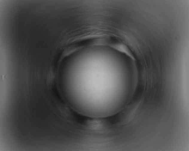 X0000093170129200710031510