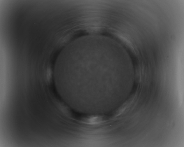 X0000093170130200710031510