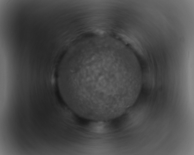 X0000093170131200710031510