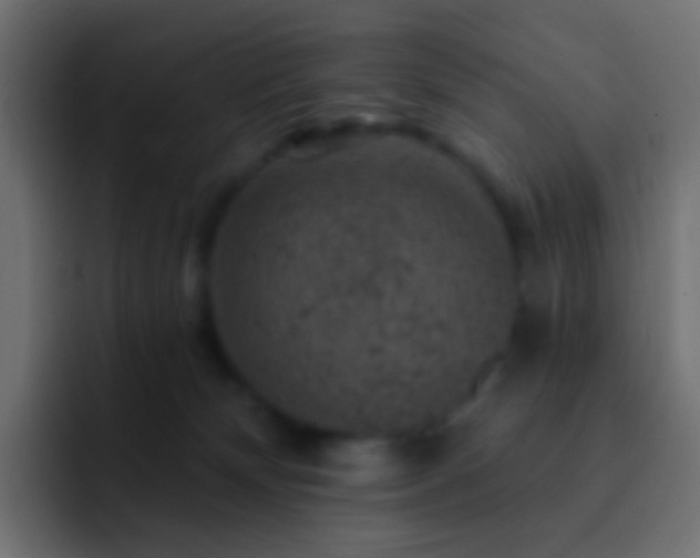 X0000093170132200710031510