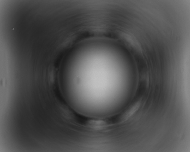 X0000093170133200710031510