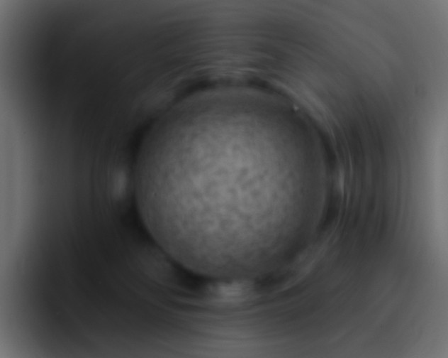 X0000093170134200710031510
