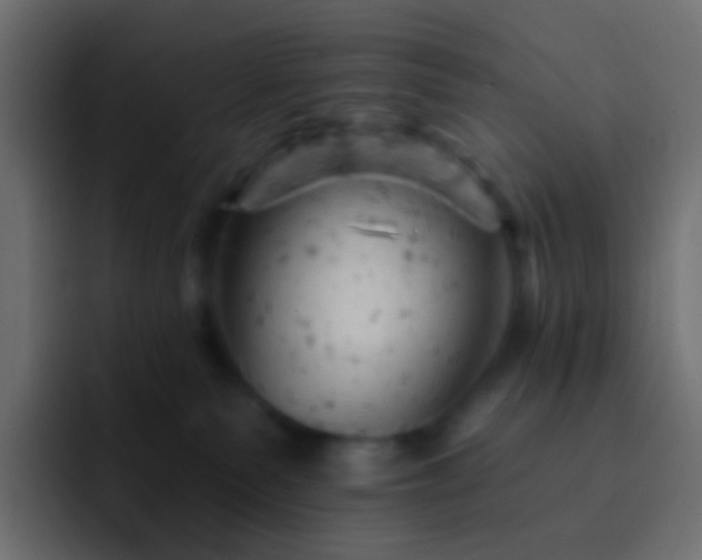 X0000093170135200710031510