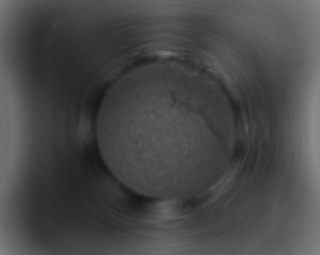 X0000093170136200710031510