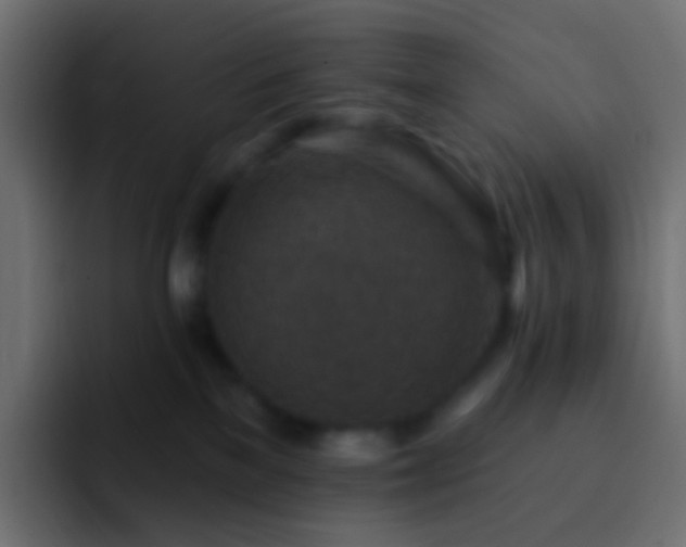 X0000093170137200710031510