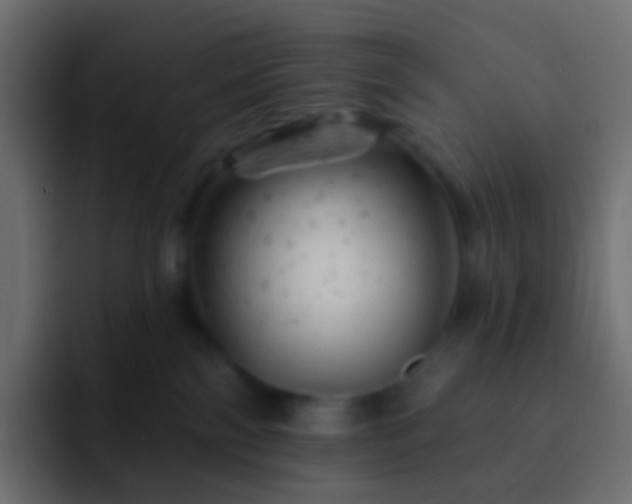 X0000093170138200710031510
