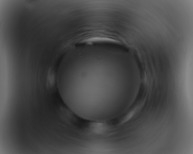 X0000093170139200710031510