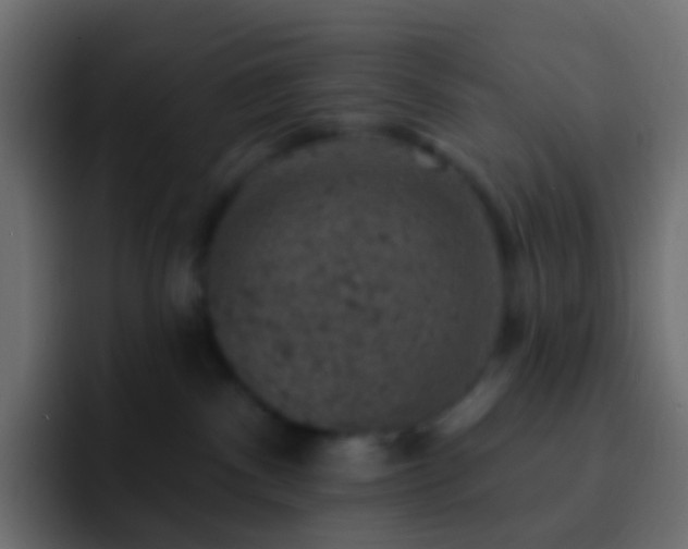 X0000093170140200710031510