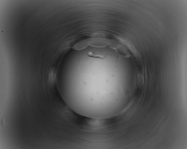 X0000093170142200710031510