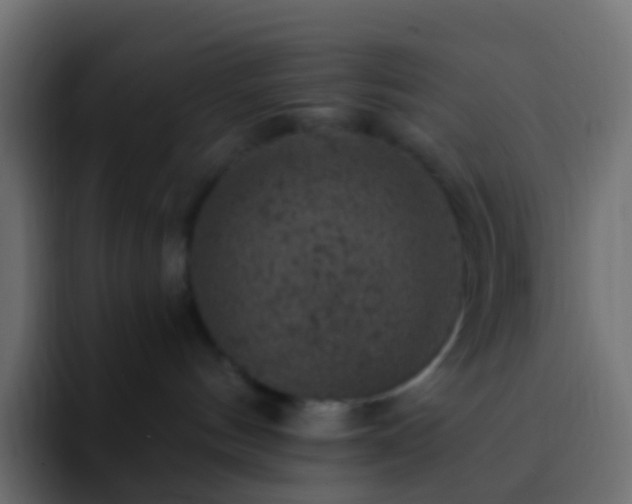 X0000093170144200710031510