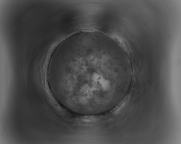 X0000093170145200710031510