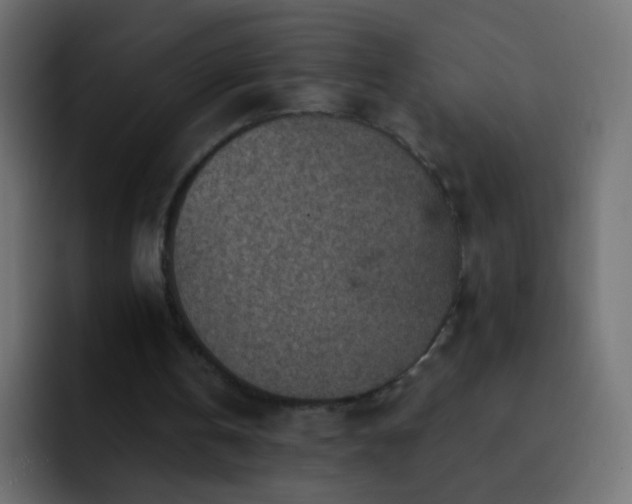 X0000093170146200710031510