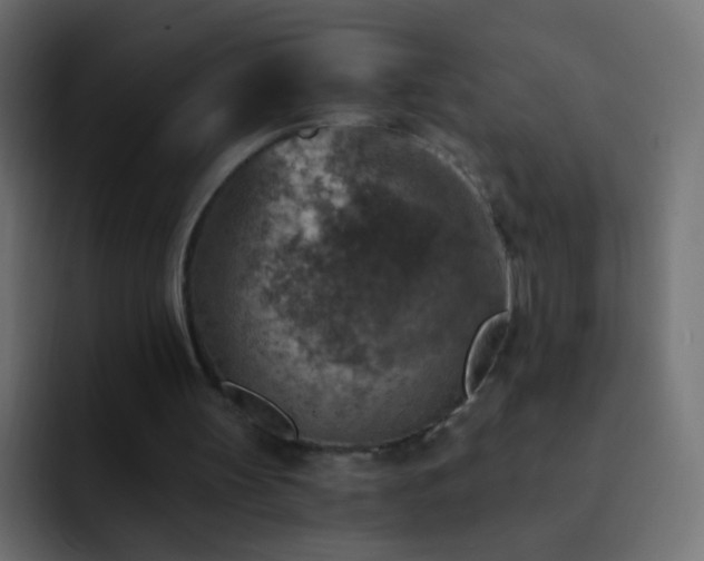 X0000093170147200710031510