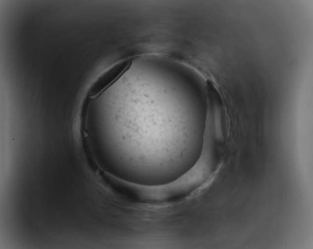 X0000093170150200710031510