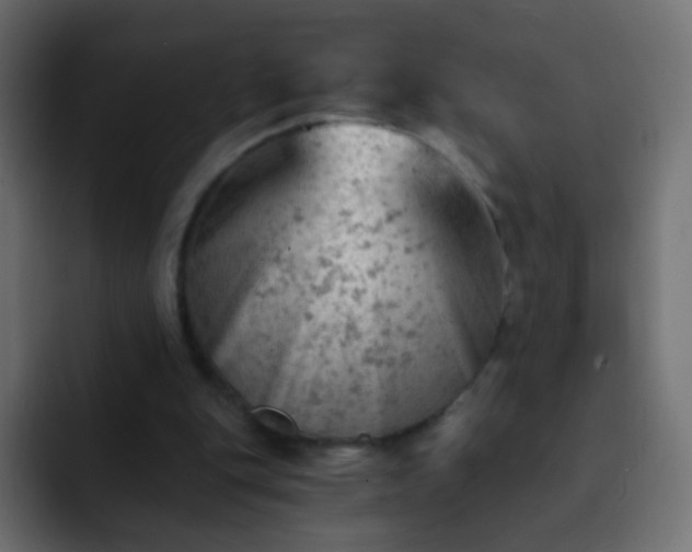 X0000093170151200710031510