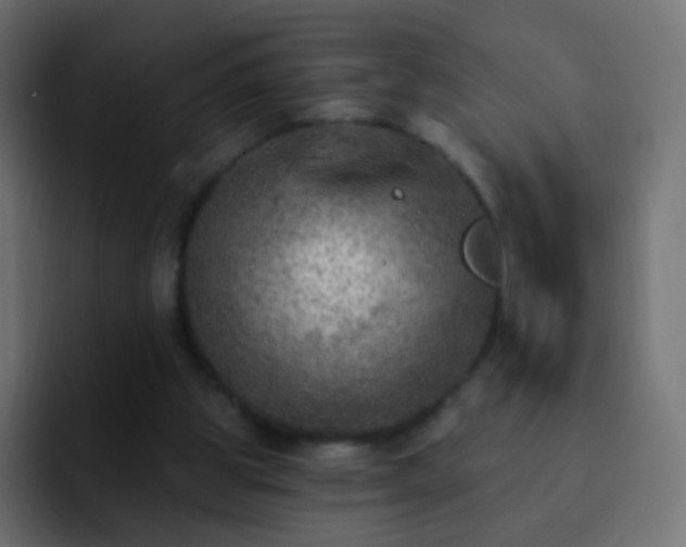 X0000093170153200710031510