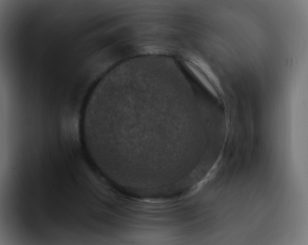 X0000093170154200710031510