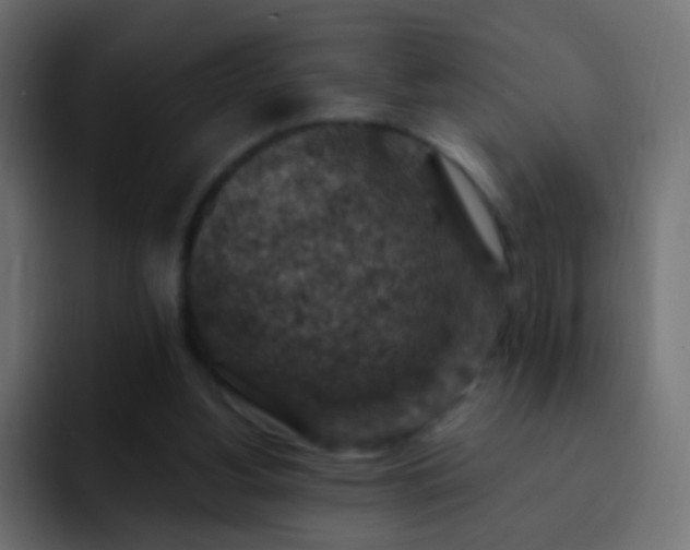 X0000093170156200710031510
