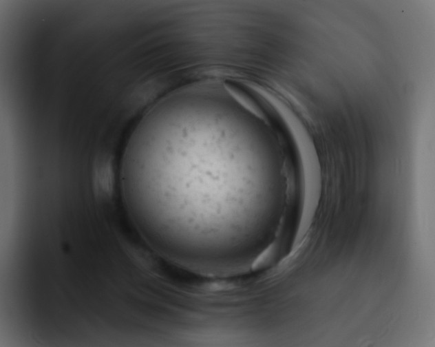 X0000093170158200710031510