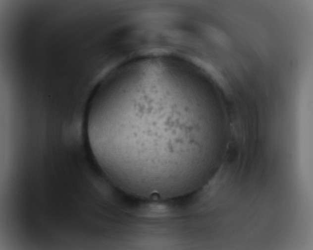 X0000093170159200710031510
