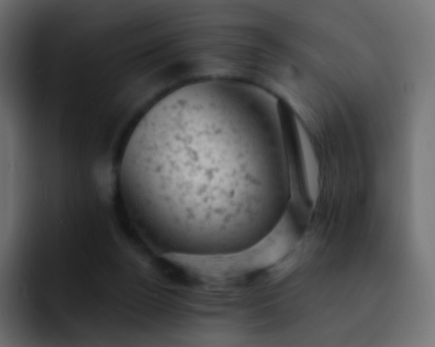 X0000093170160200710031510