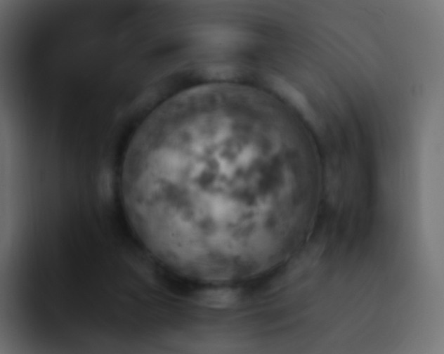 X0000093170161200710031510