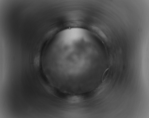 X0000093170163200710031510