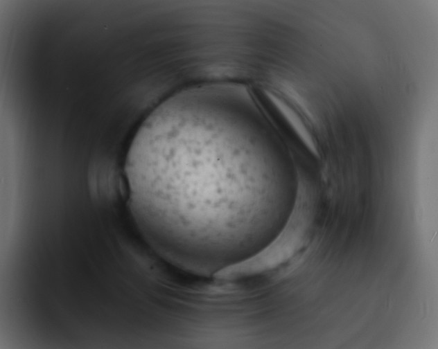 X0000093170164200710031510