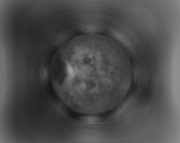 X0000093170165200710031510