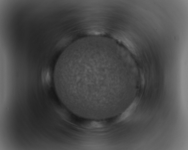 X0000093170166200710031510