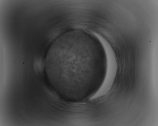 X0000093170168200710031510
