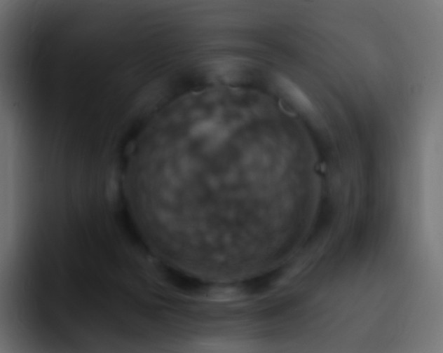 X0000093170169200710031510