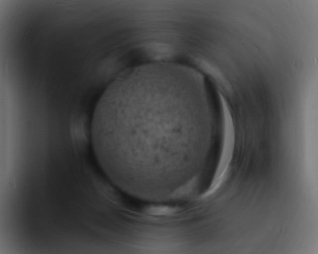 X0000093170170200710031510