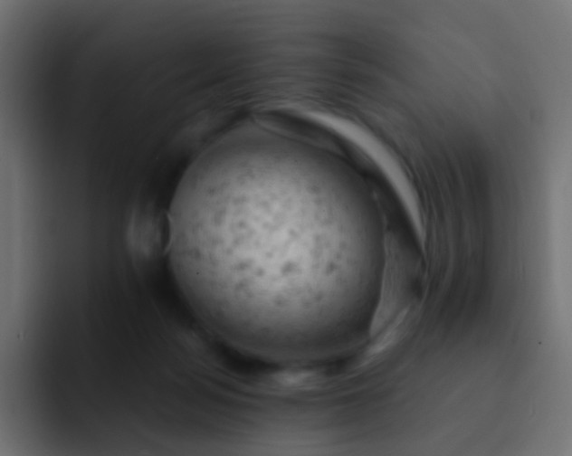 X0000093170172200710031510