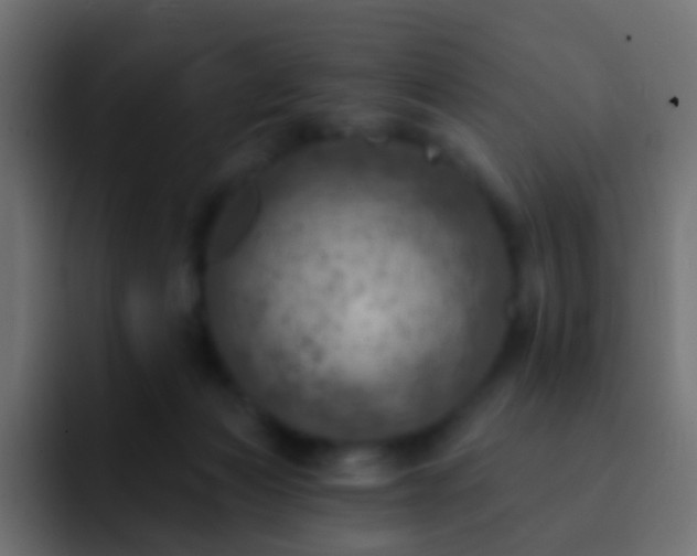 X0000093170173200710031510
