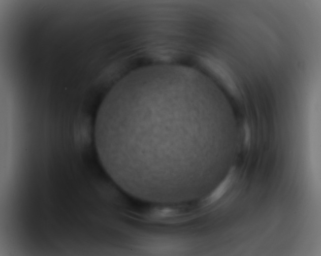 X0000093170174200710031510