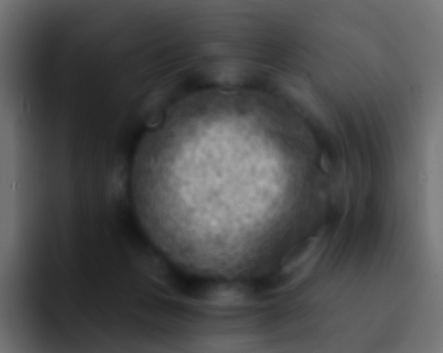 X0000093170175200710031510